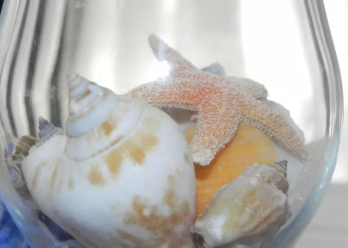 Hotel Arizona Lido di Jesolo